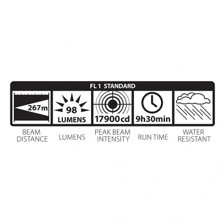 Linterna Maglite® STANDARD D 4D – negra