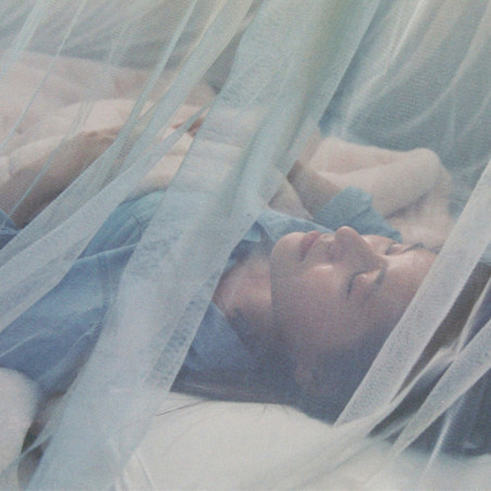 Mosquitera OZtrail MOZZIE NET DOUBLE BELL STYLE - verde