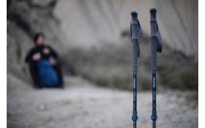 Bastones de trekking Pinguin